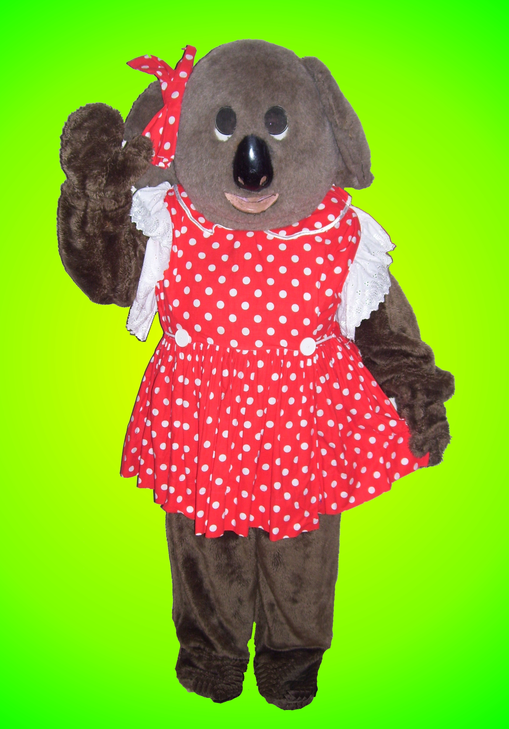 fancy dress hire, costume hire, fancy dress accessories